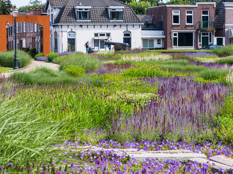 Kaasteelpark Coevorden Aug 2024 (23)