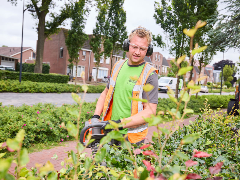 Hovenier 2025 (4)