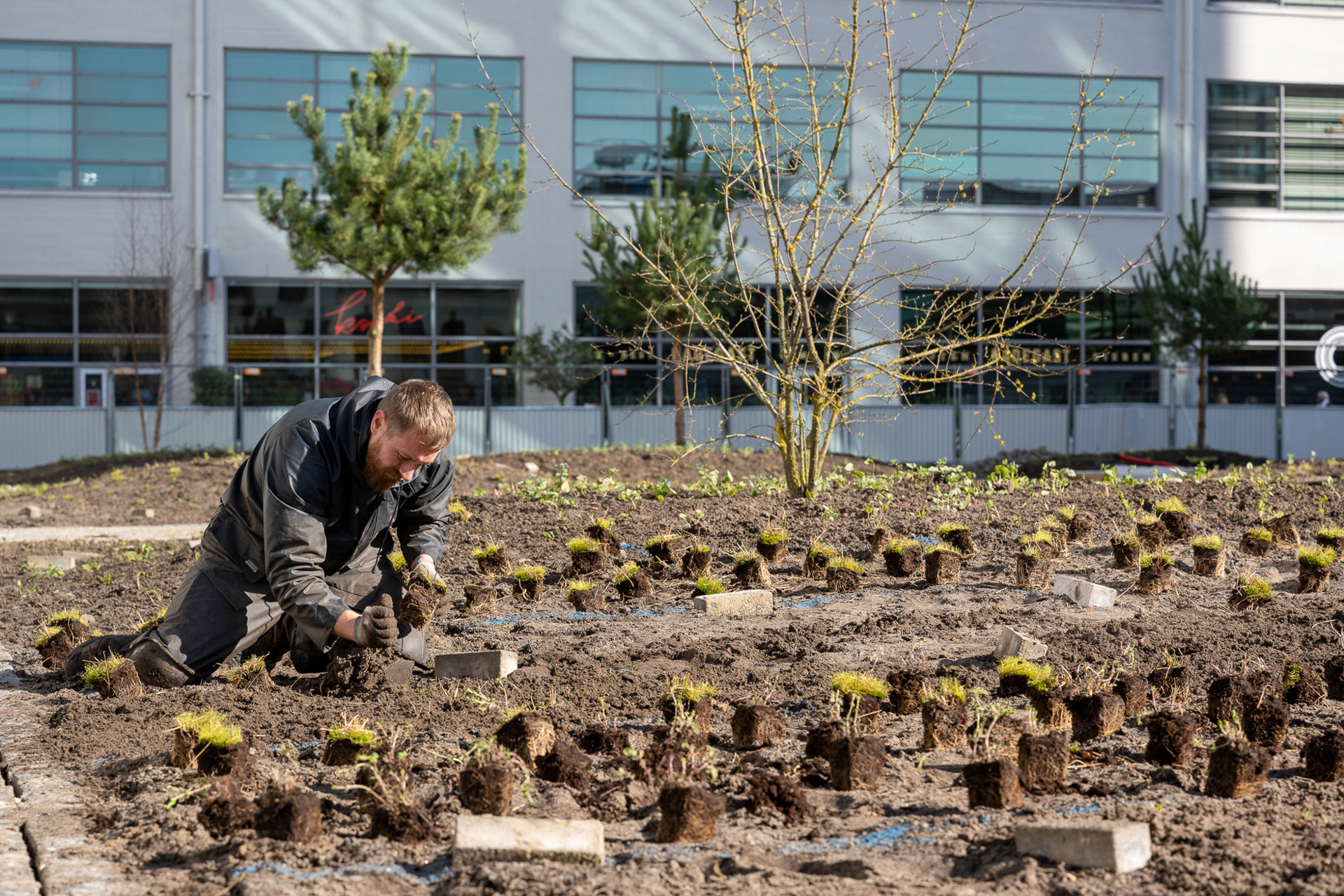 Clausplein Eindhoven (34)