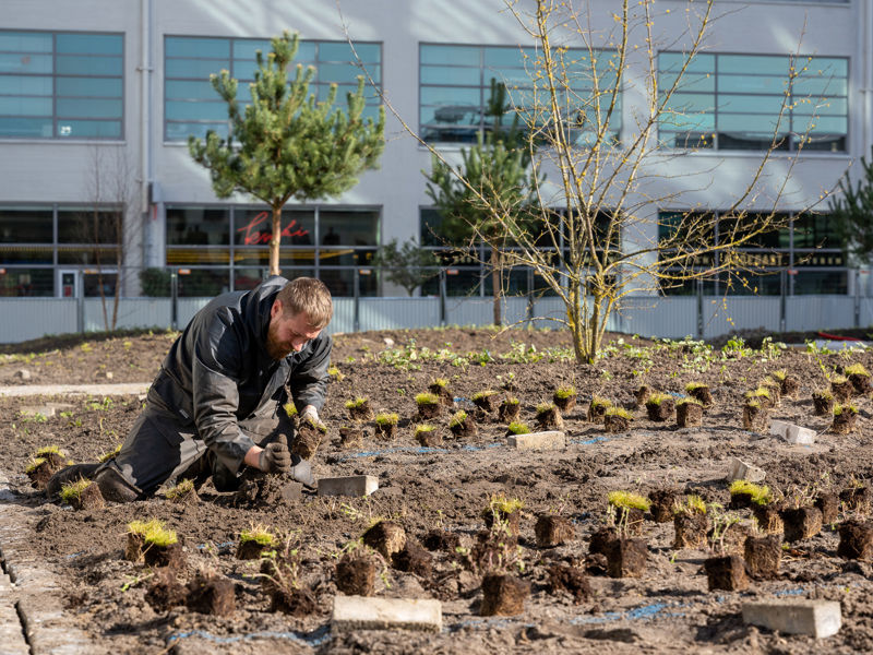 Clausplein Eindhoven (34)