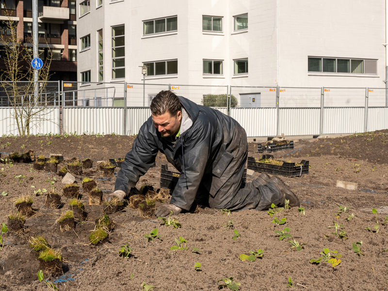 Clausplein Eindhoven (29)