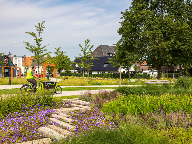 Kaasteelpark Coevorden Aug 2024 (49)