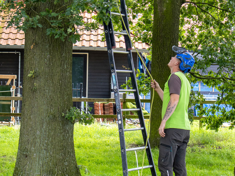 Boomverzorger 2024 (12)