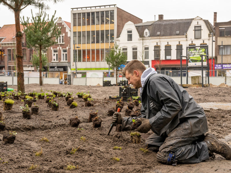 Clausplein Eindhoven (14)