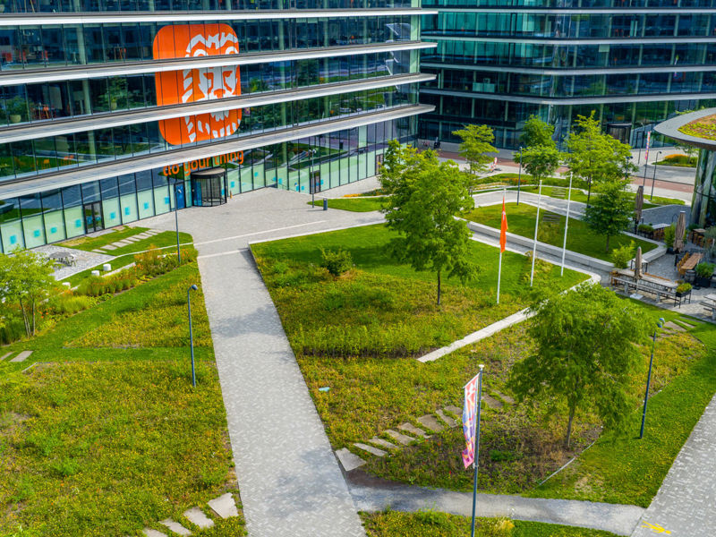 ING Cedar 2025 (20)