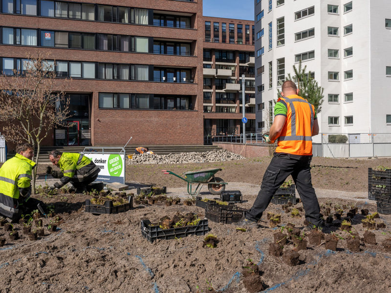 Clausplein Eindhoven (36)